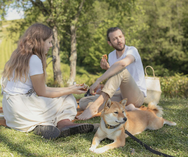 Junges Paar mit Hund beim Picknick